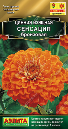Цинния Сенсация бронзовая однолетник 12шт (Аэлита)