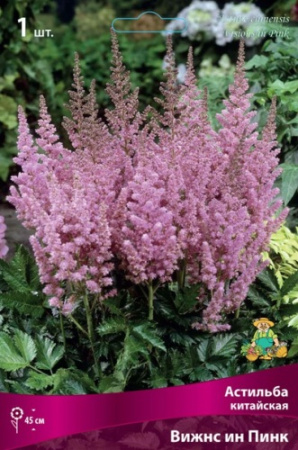 Астильба Вижнс ин Пинк 1шт (Поиск)
