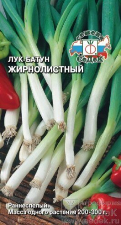 Лук Батун Жирнолистный 1г (Седек)
